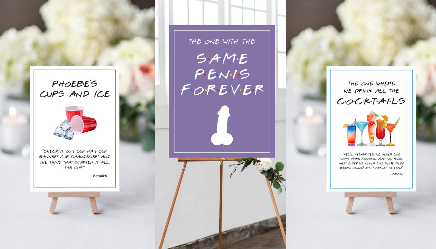 The Ultimate Friends DIRTY Bachelorette Party Printable Package