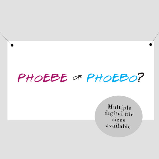 Friends Baby Shower Phoebe or Phoebo Banner Printable